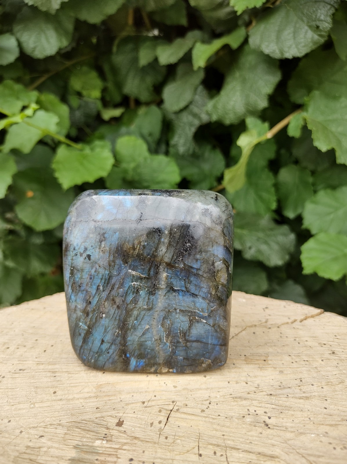 Labradorite - Forme libre