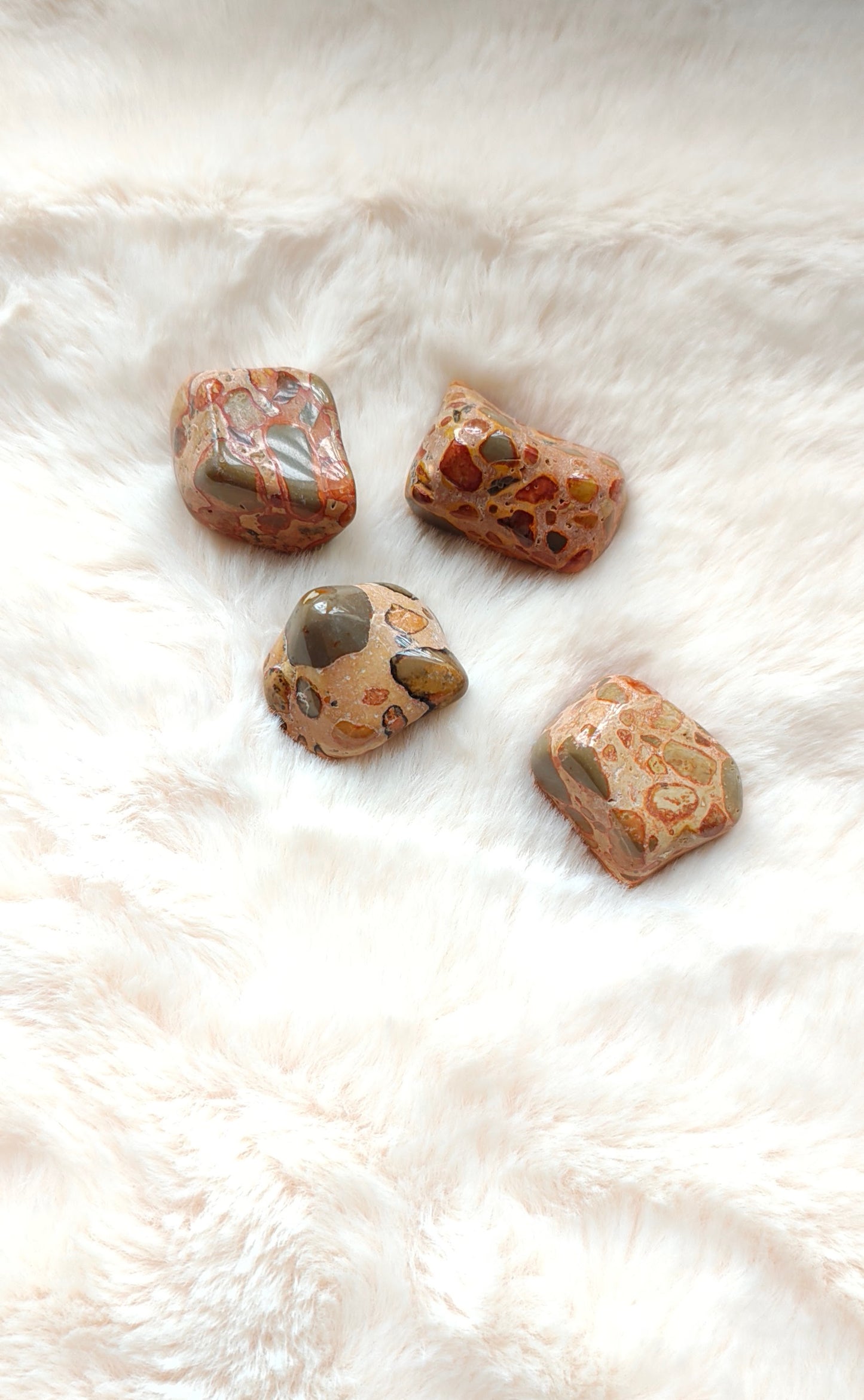 Léopardite - Pierre Roulée