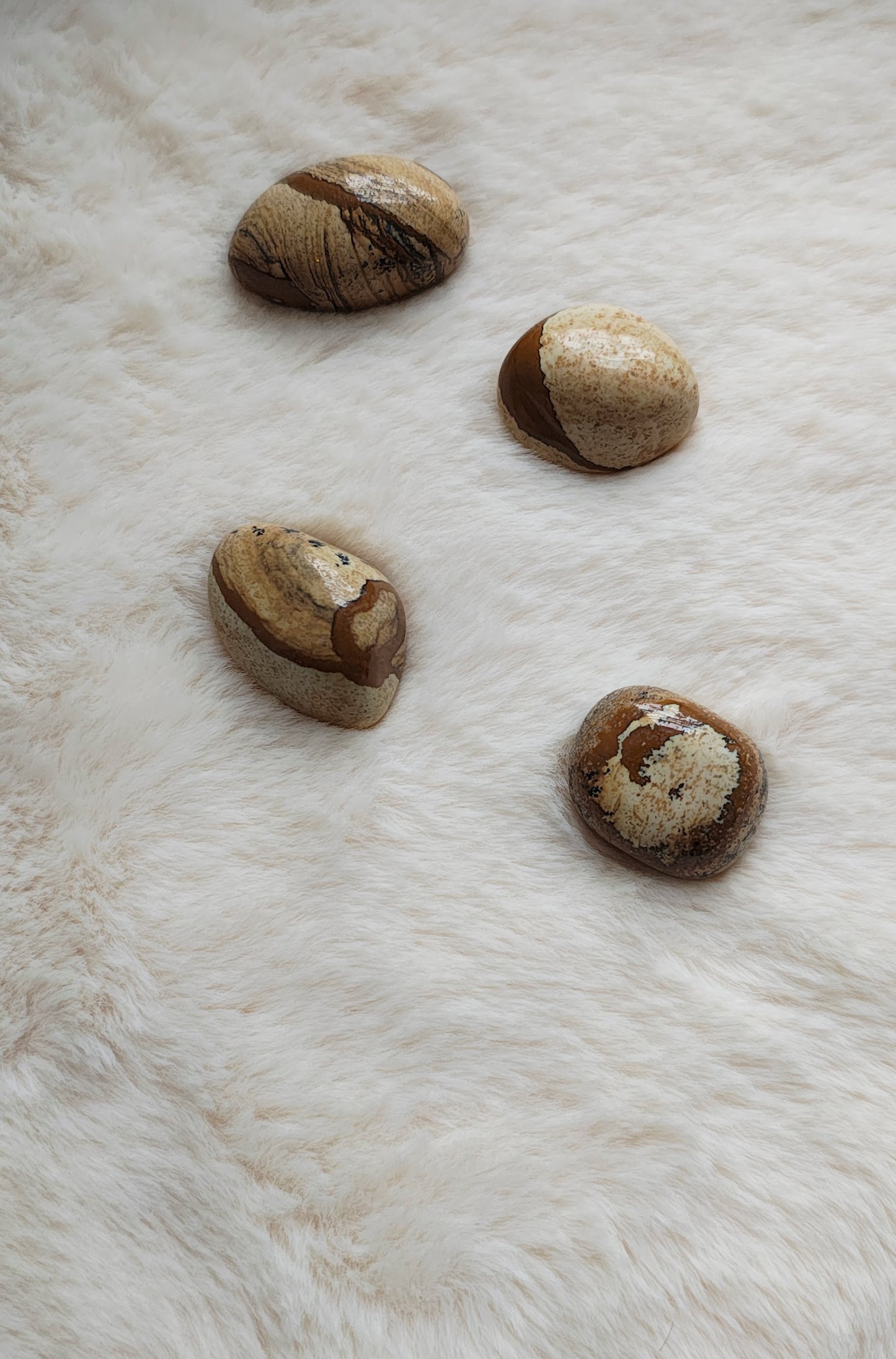 Jaspe Paysage - Pierre Roulée