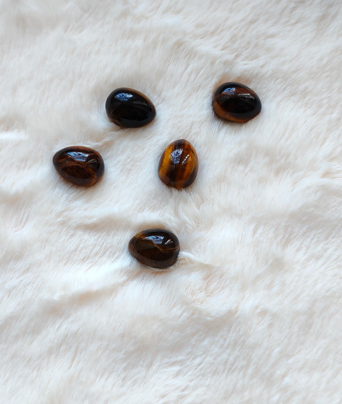 Œil de Tigre - Forme Œuf