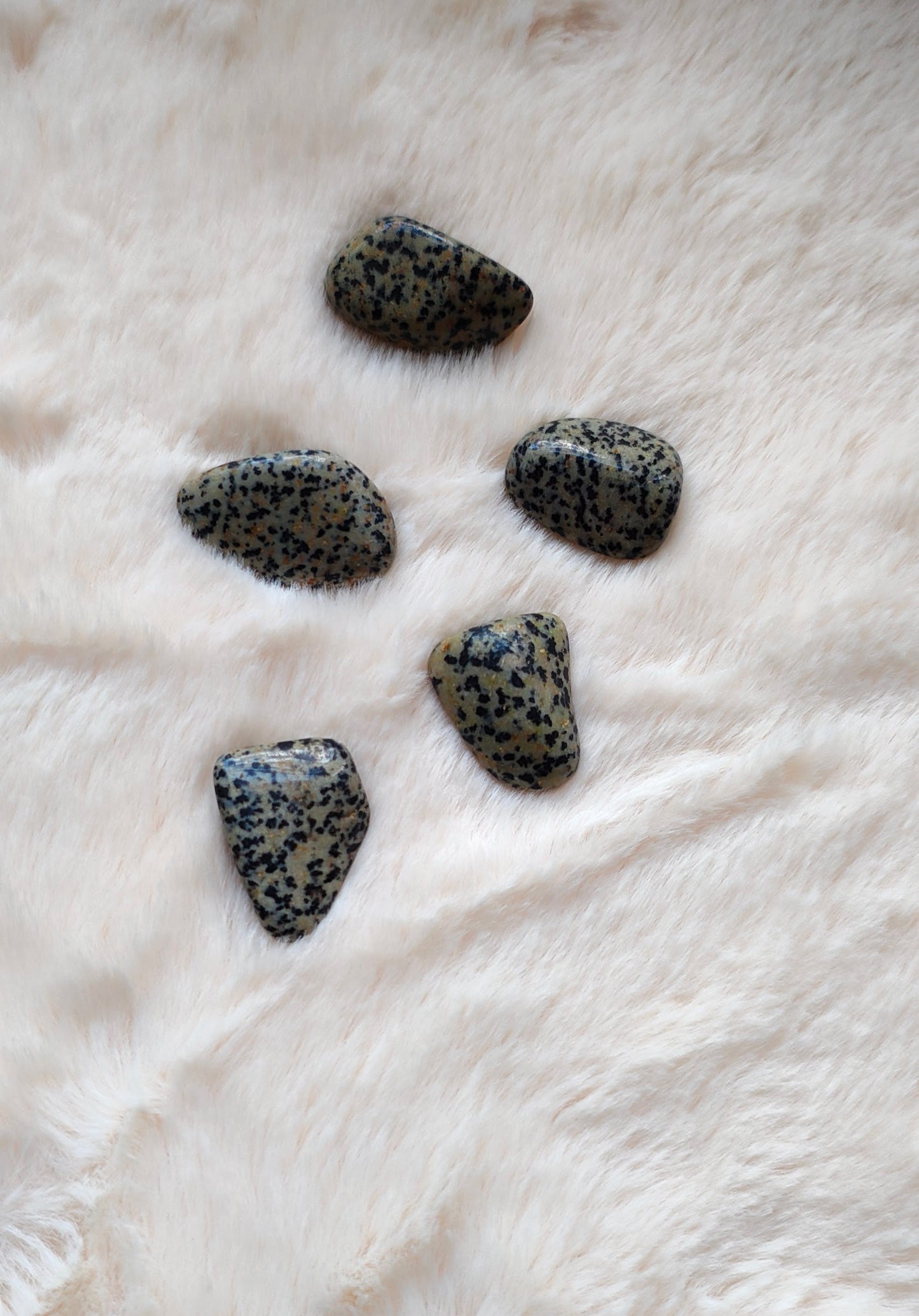 Dalmatian Jasper - Tumbled Stone