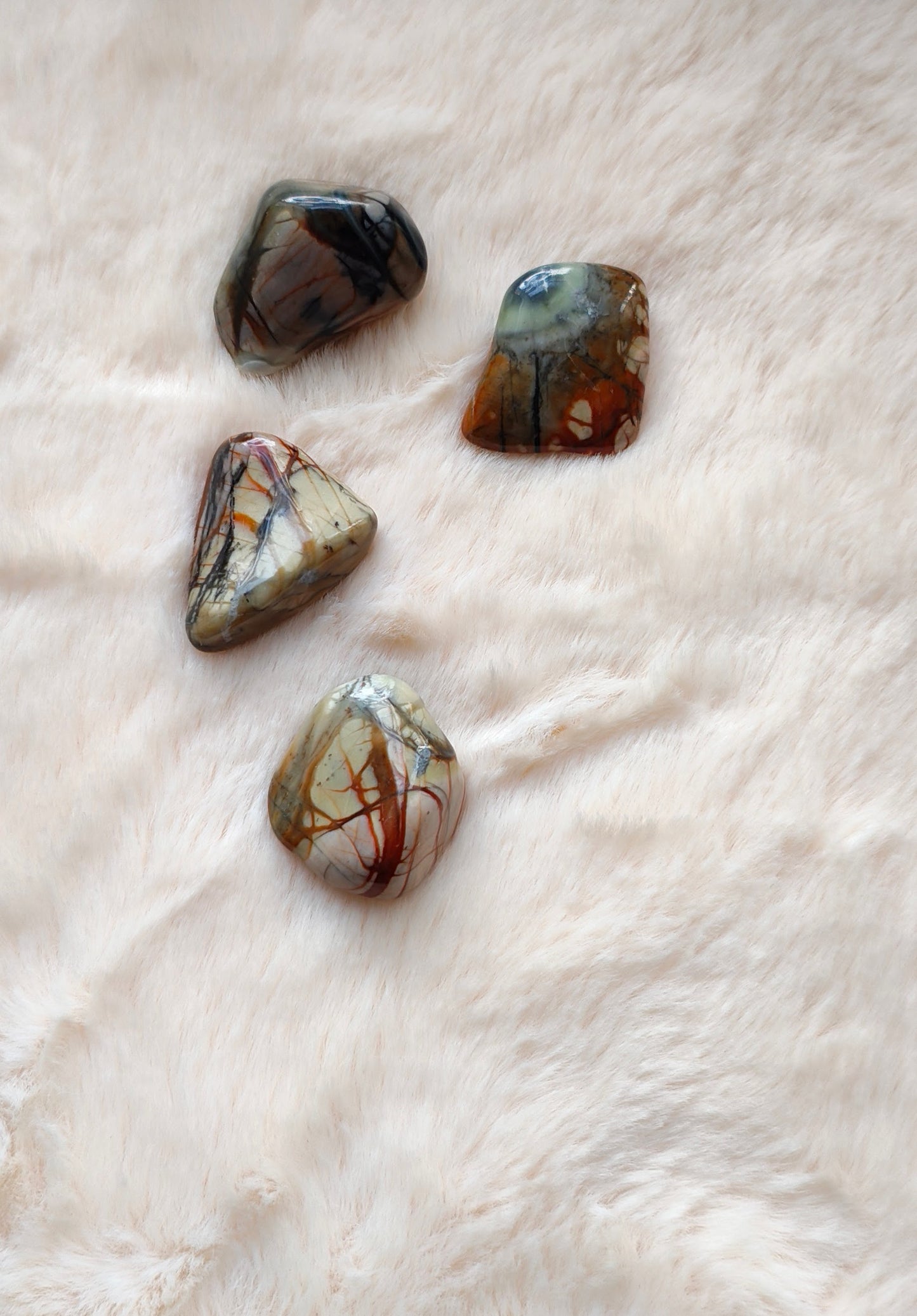 Jaspe Picasso - Pierre Roulée