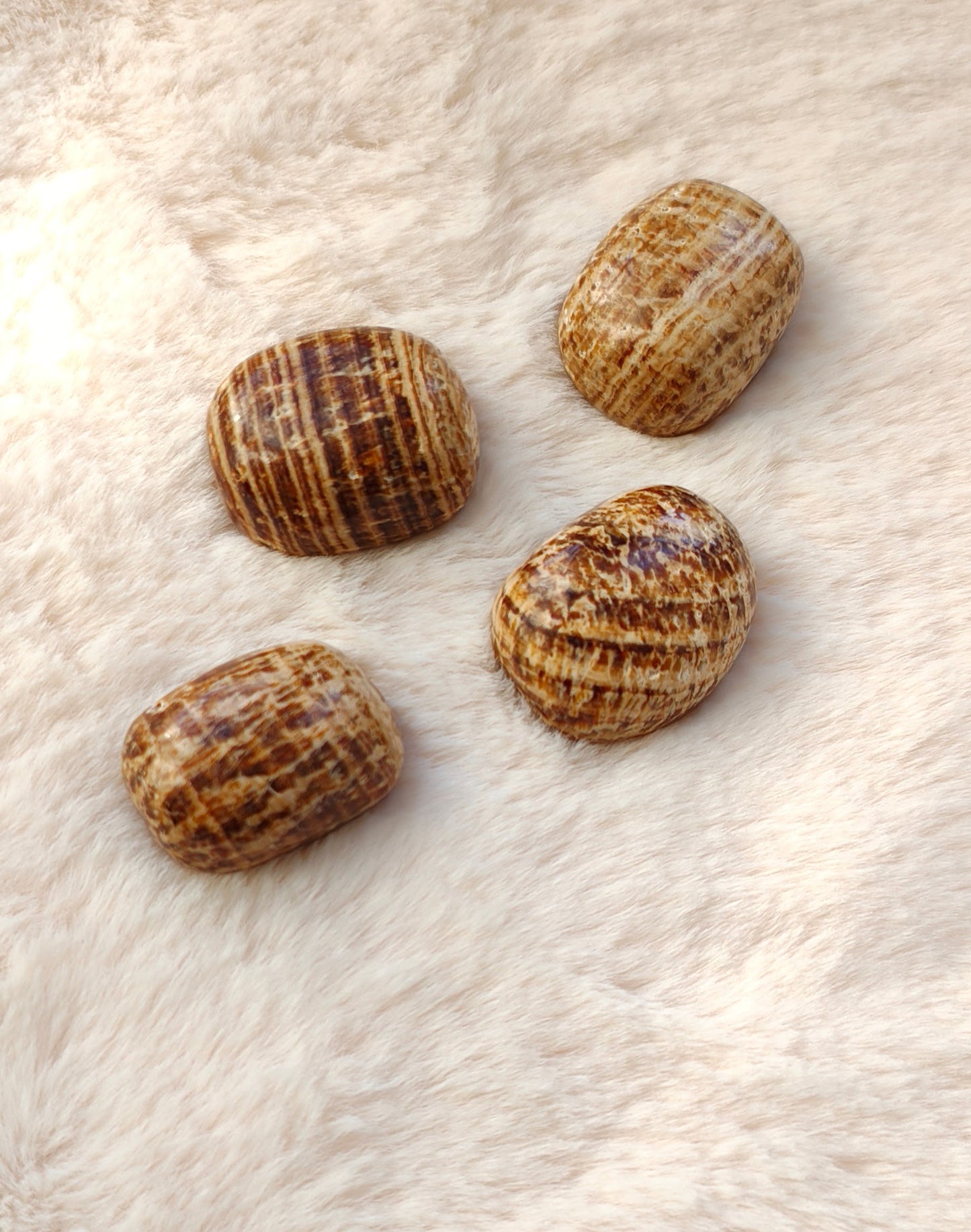 Aragonite Zonée - Pierre Roulée