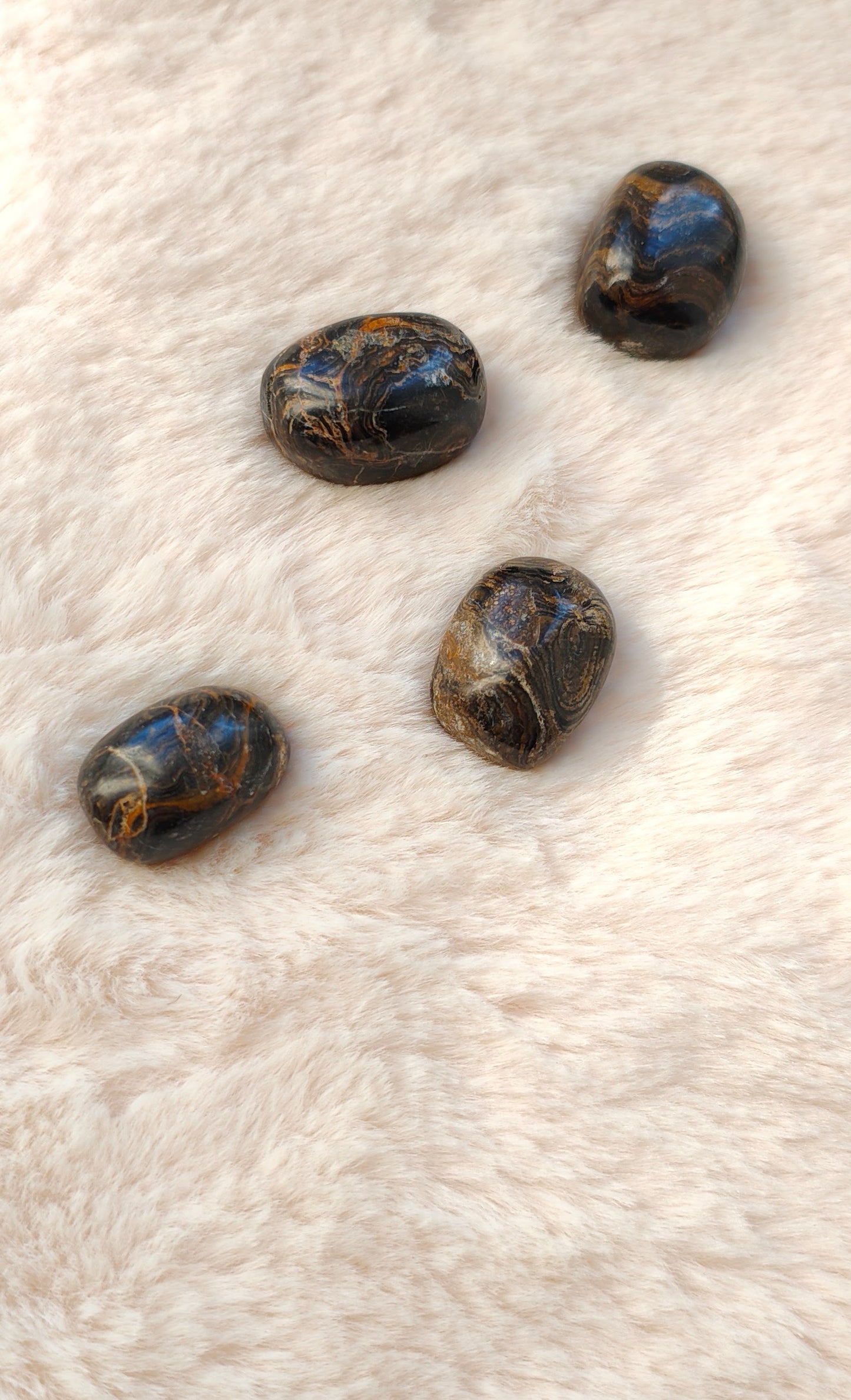 Stromatolite - Pierre Roulée