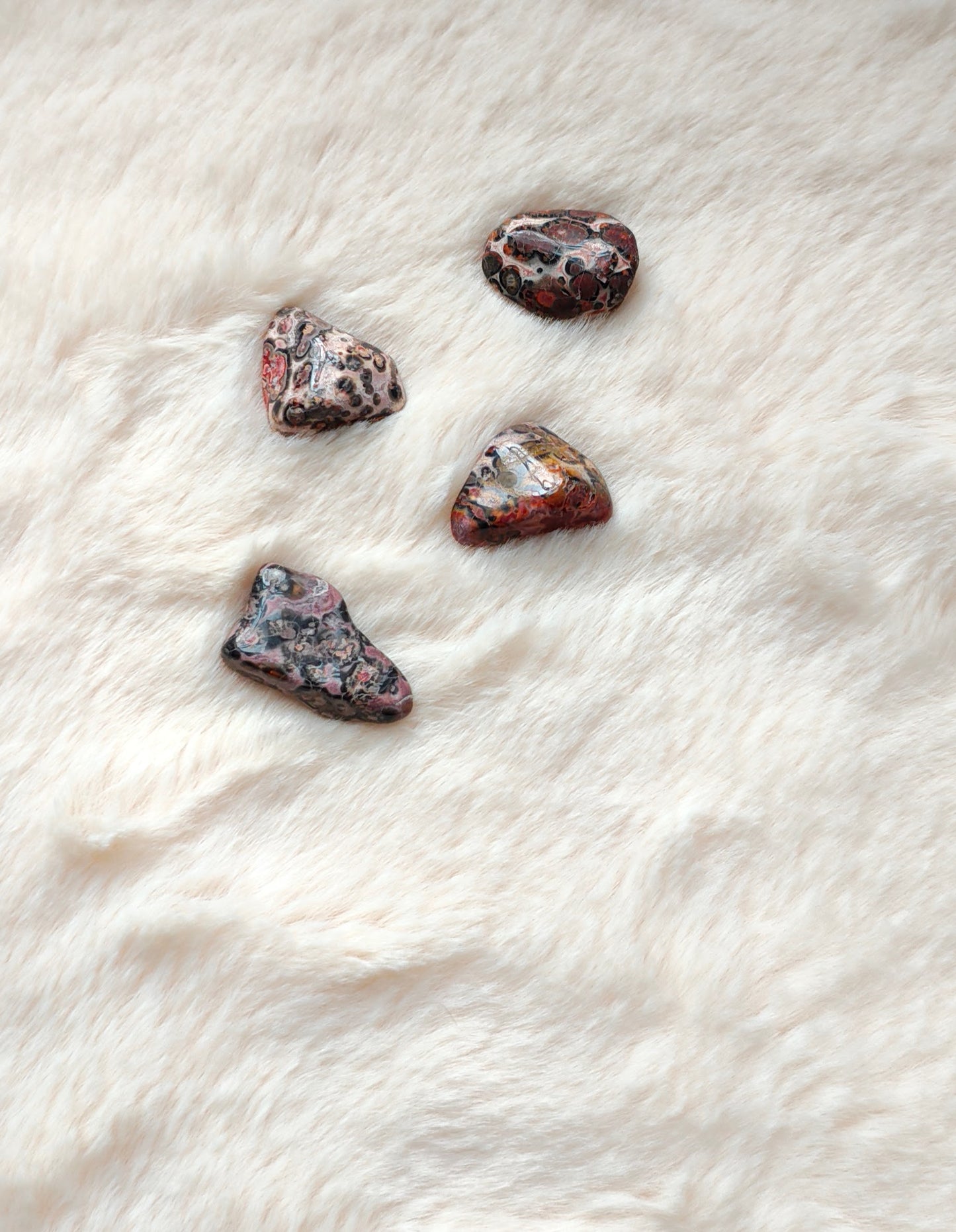 Jaspe Léopard - Pierre Roulée