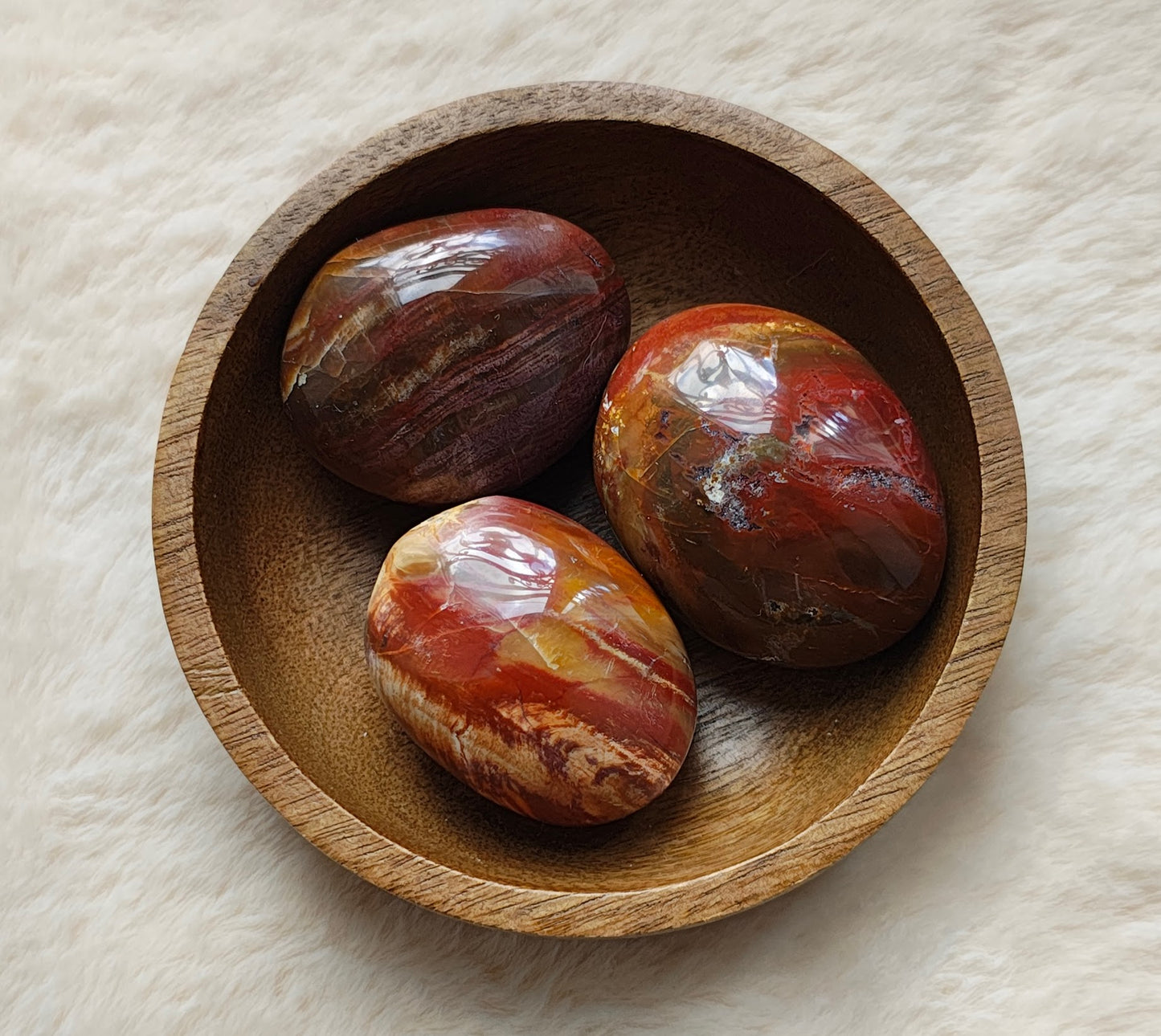 Fossil Wood - Pebble