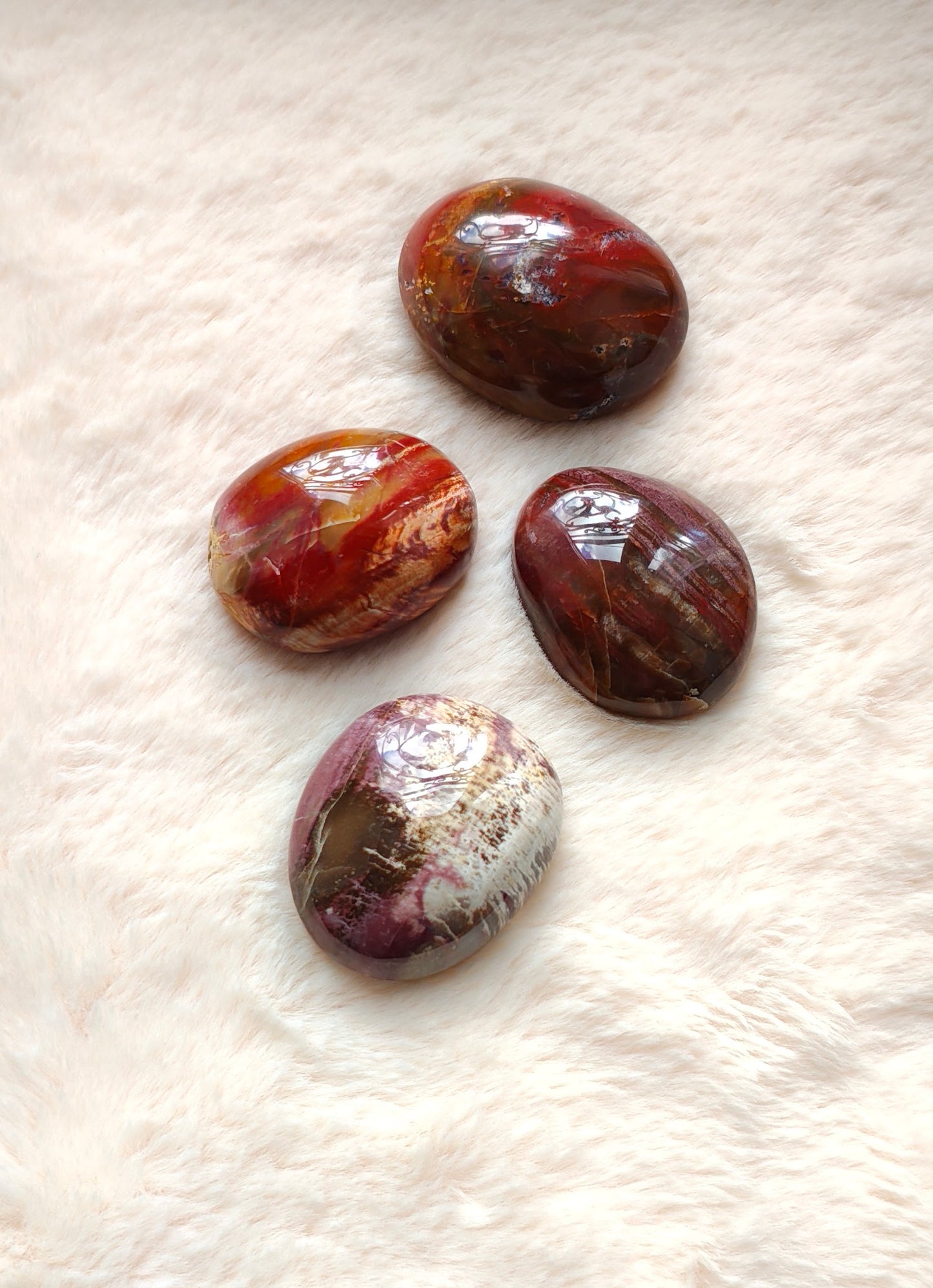 Fossil Wood - Pebble