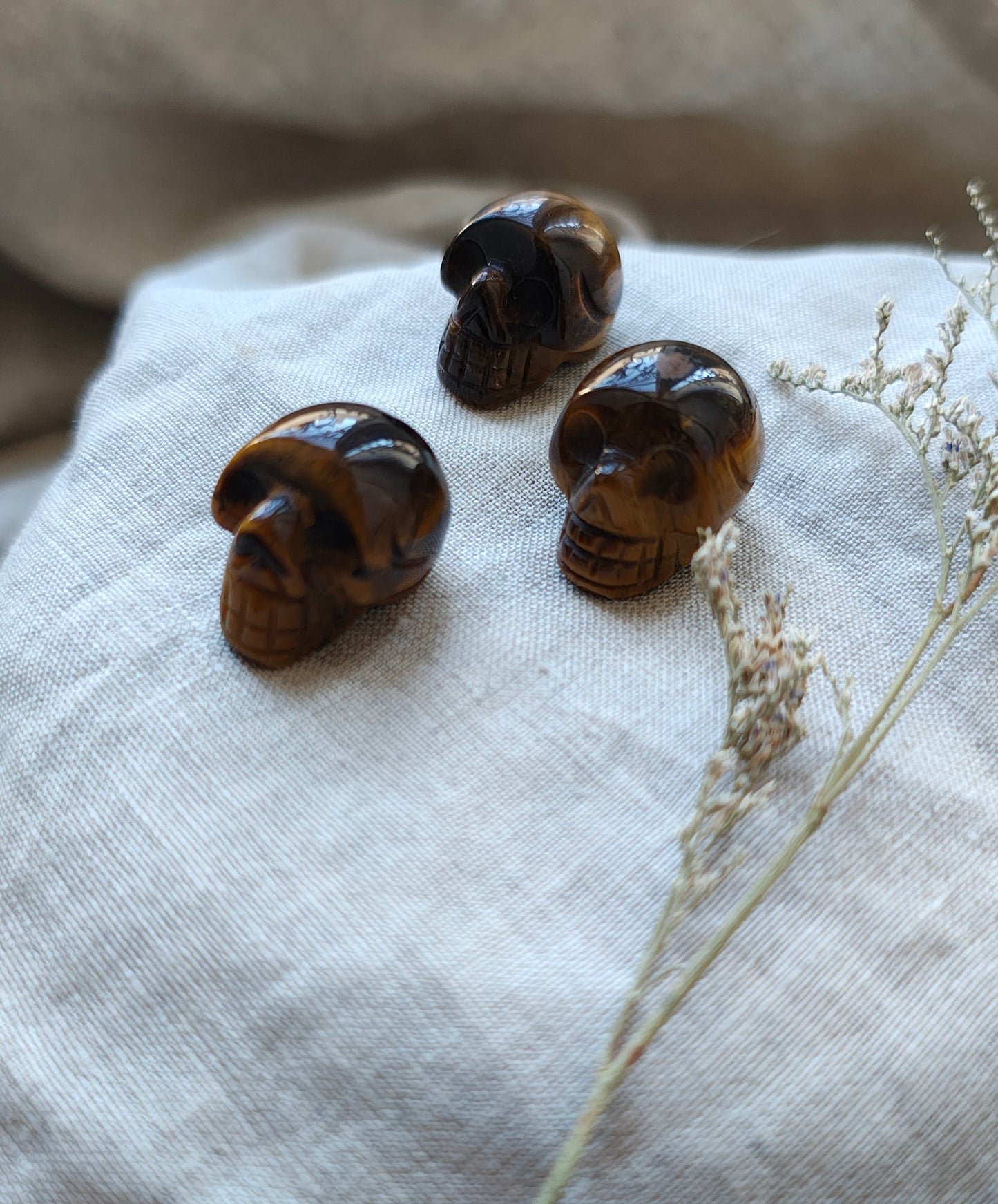 Œil de Tigre - Forme Crane