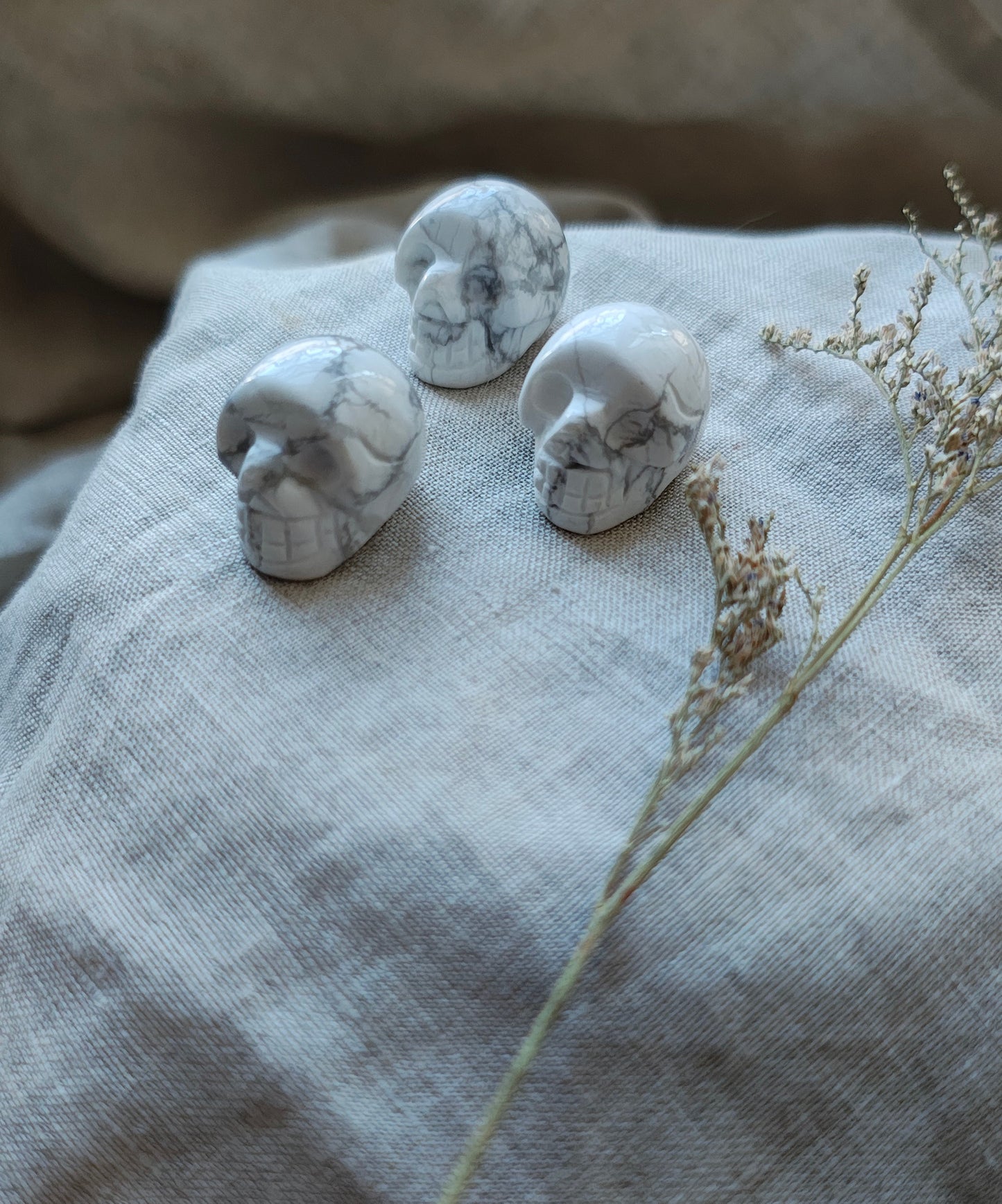 Howlite - Forme Crâne