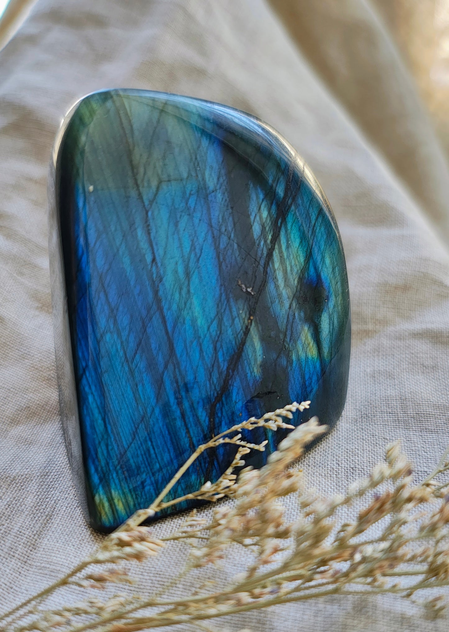 Labradorite - Forme Libre - Modèle 215