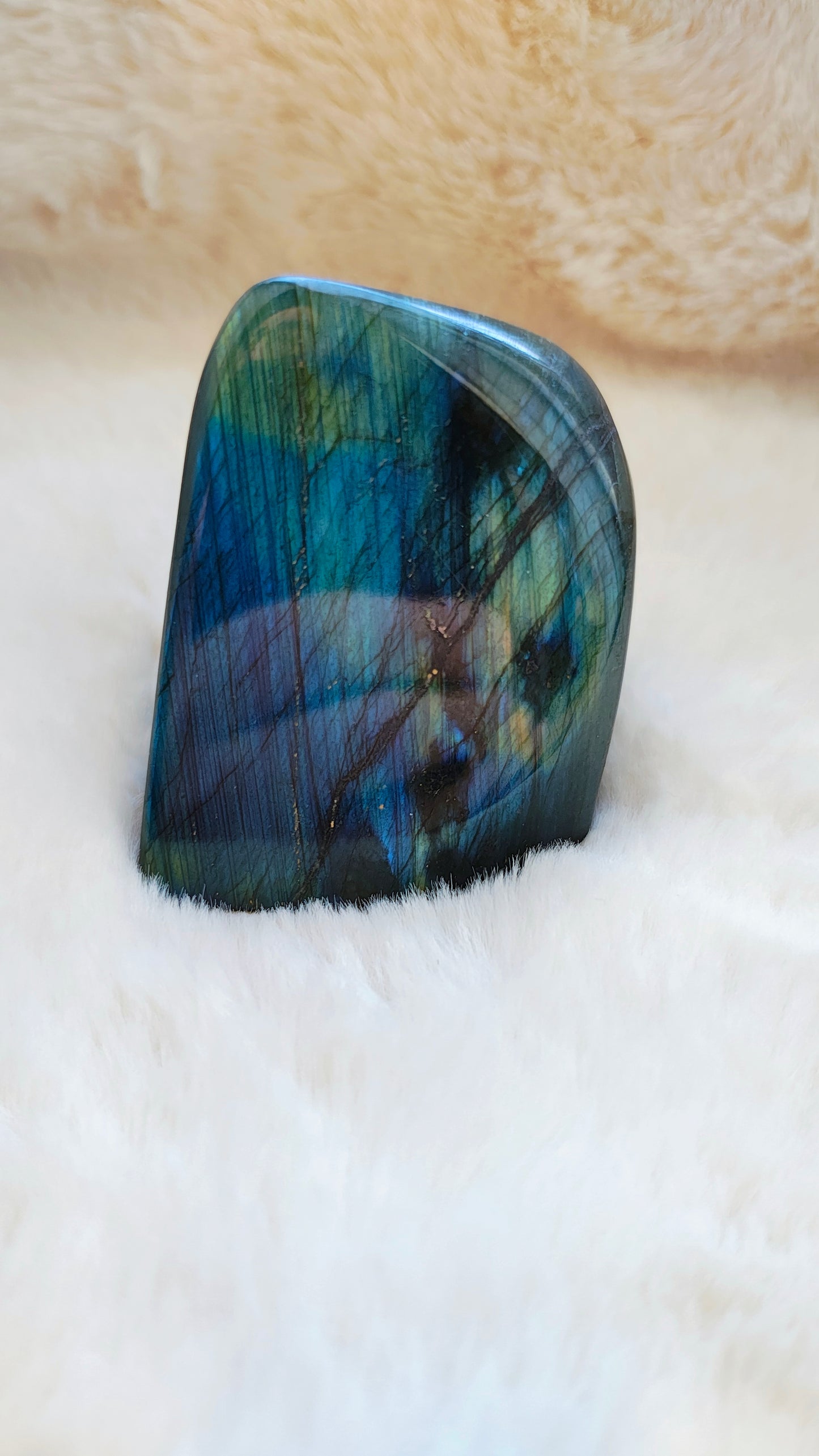 Labradorite - Forme Libre - Modèle 215