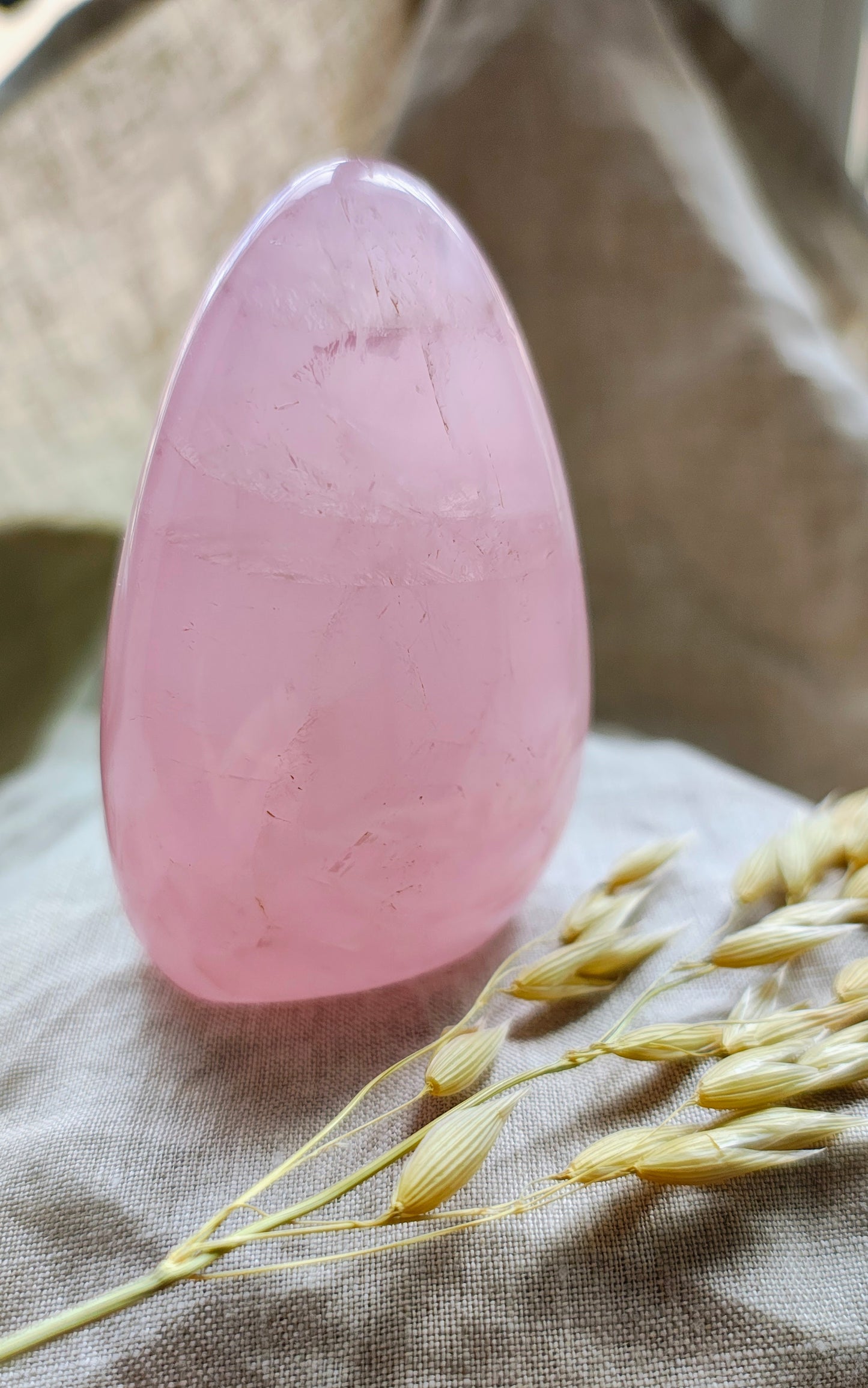 Rose Quartz - Free Form