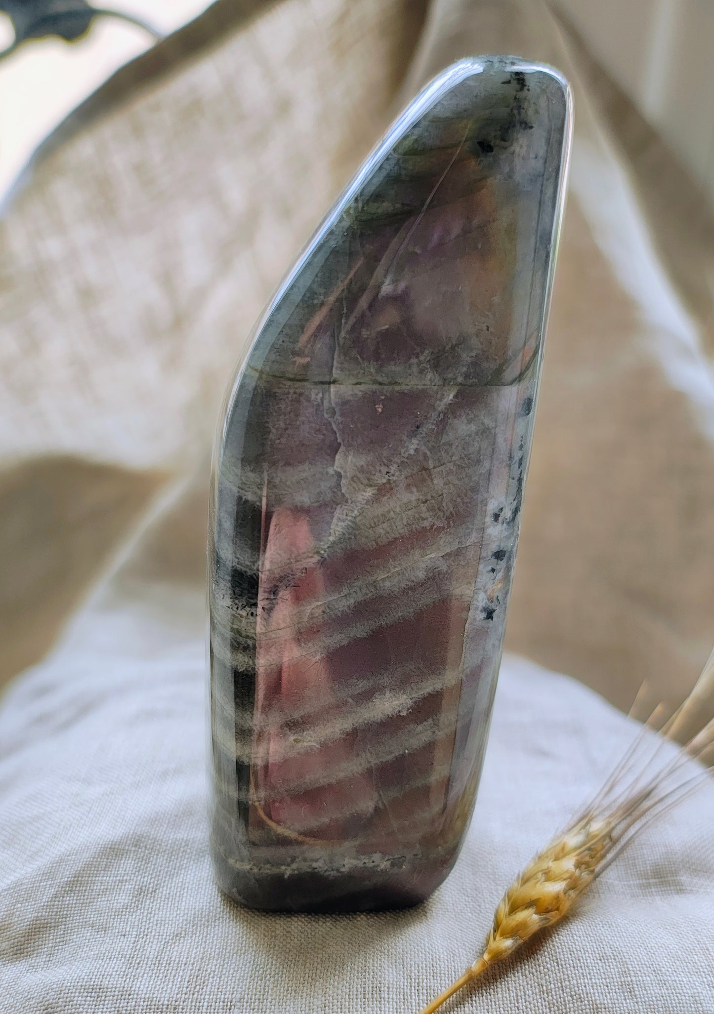 Labradorite Violette - Forme Libre - Modèle 266