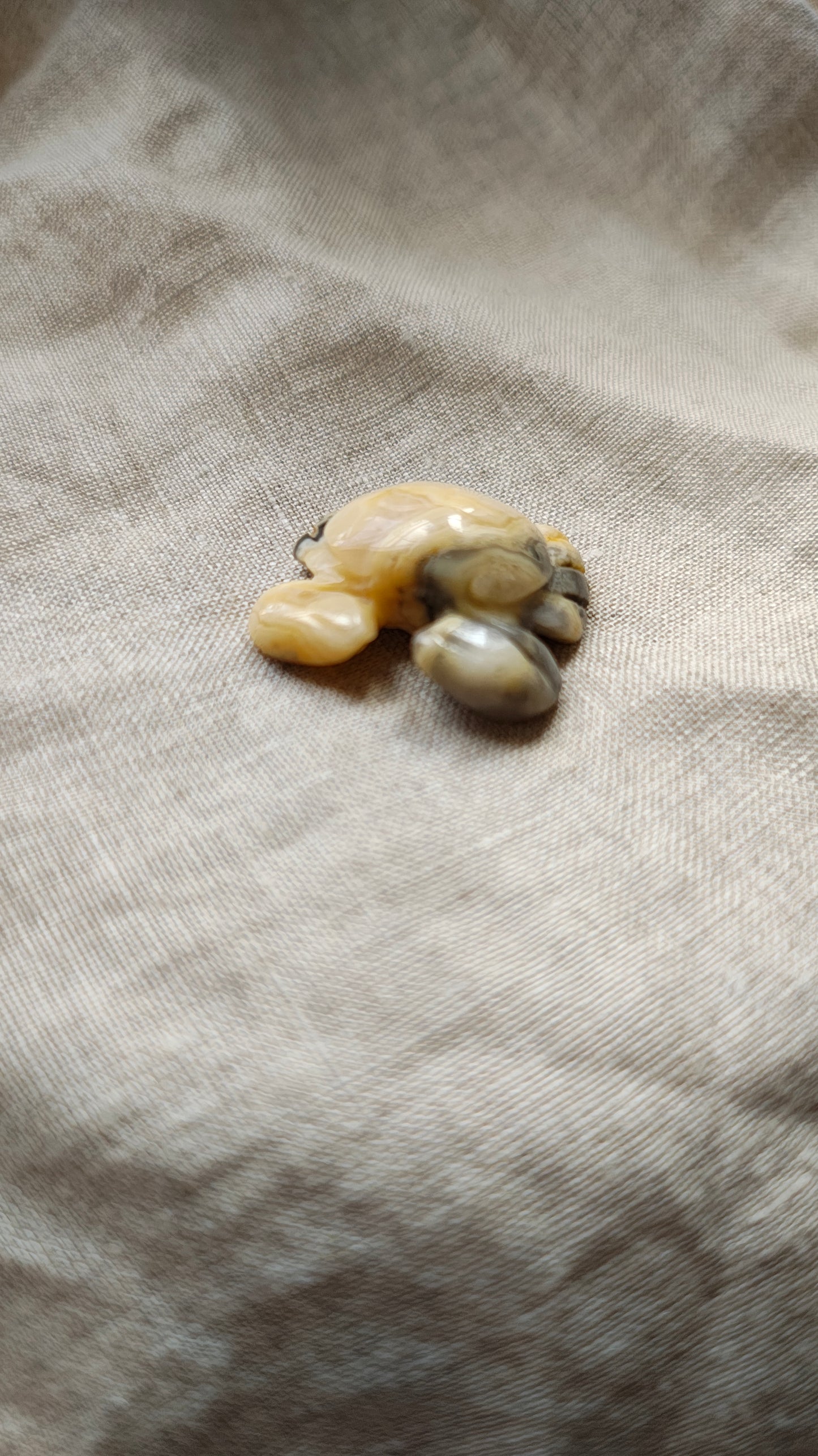 Agate Crazy Lace - Crabe 9 grammes