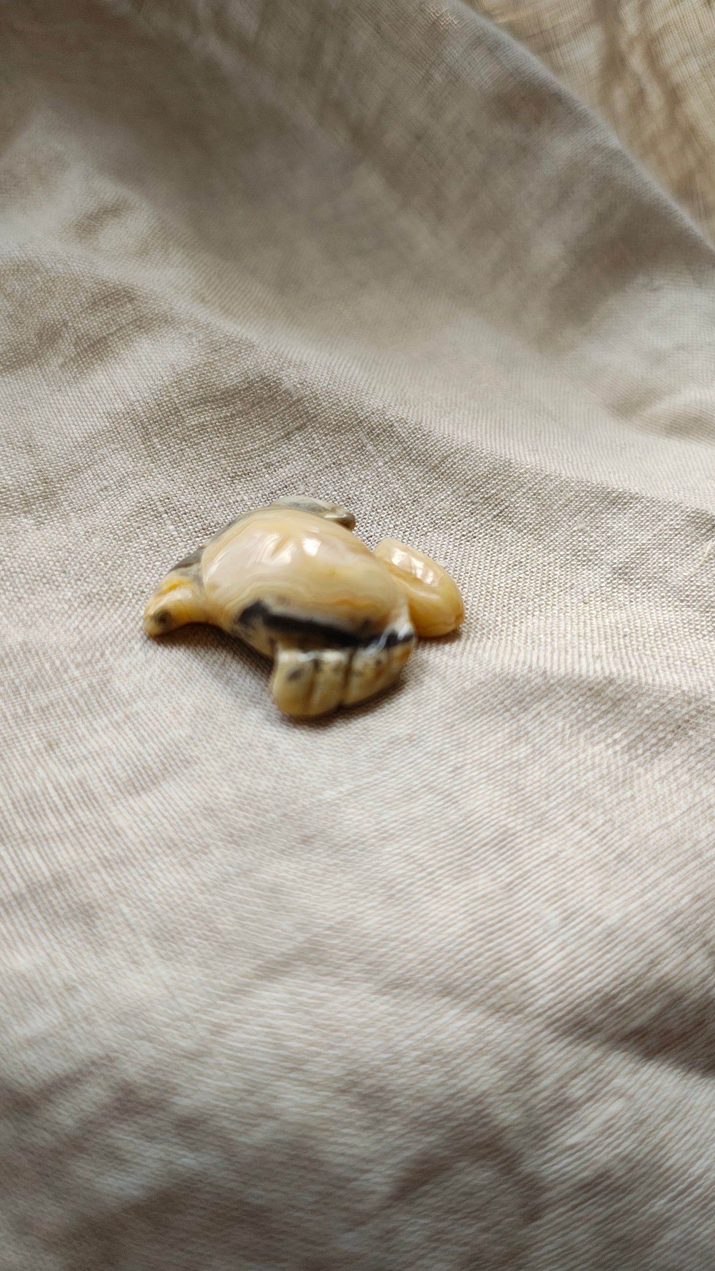 Agate Crazy Lace - Crabe 9 grammes