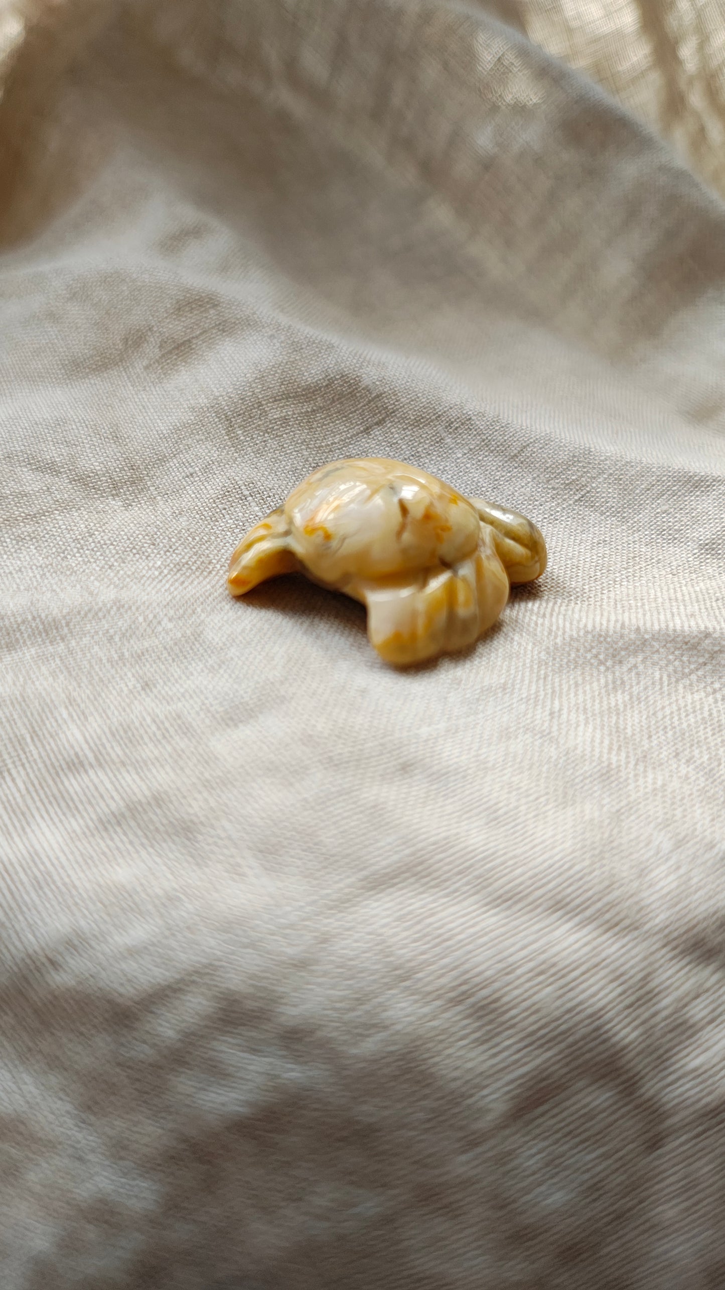 Agate Crazy Lace - Crabe 10 grammes