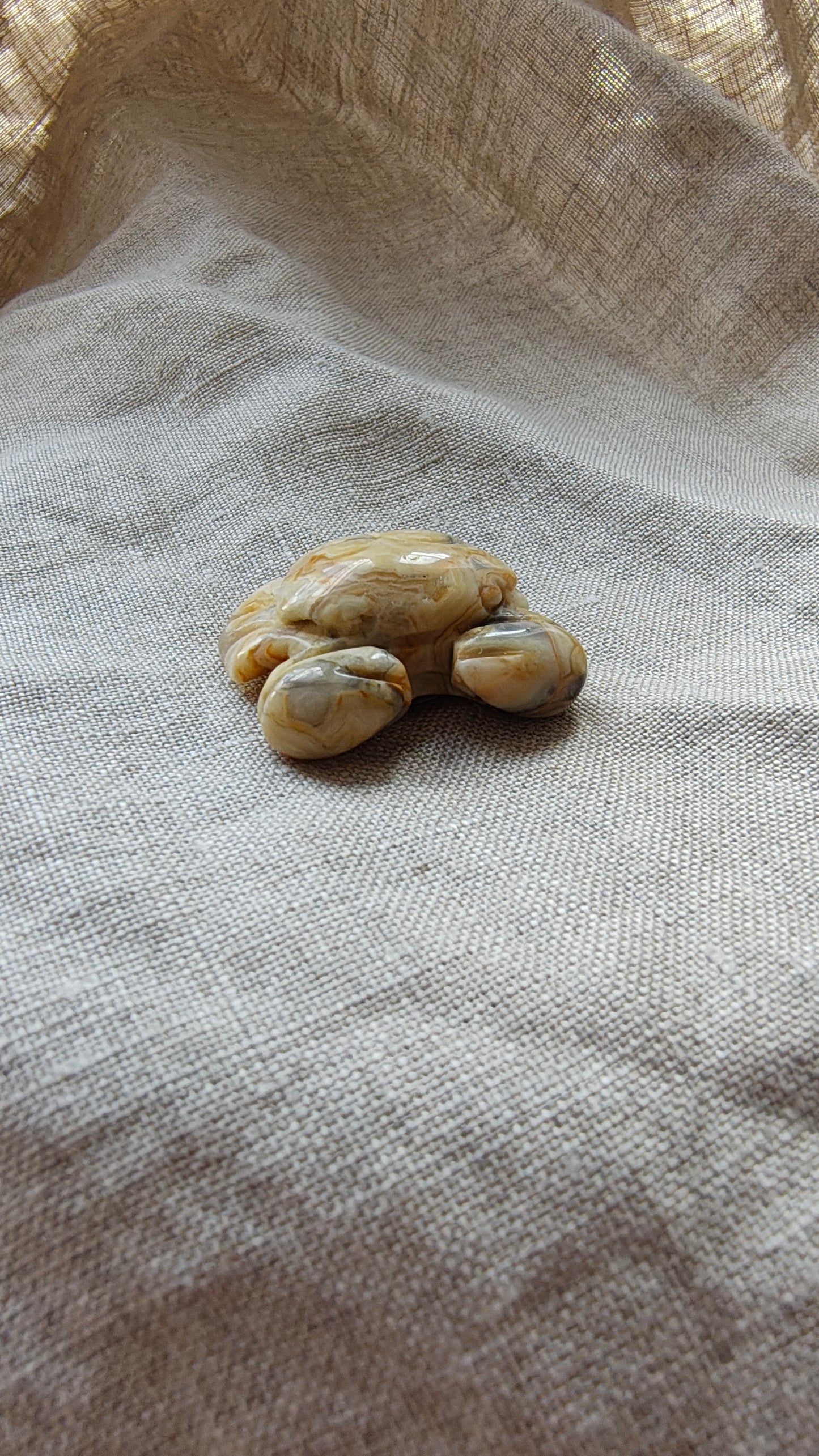 Agate Crazy Lace - Crabe 10 grammes