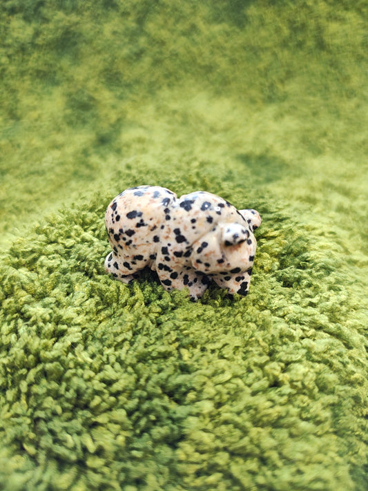 Dalmatian Jasper - Tumbled Stone