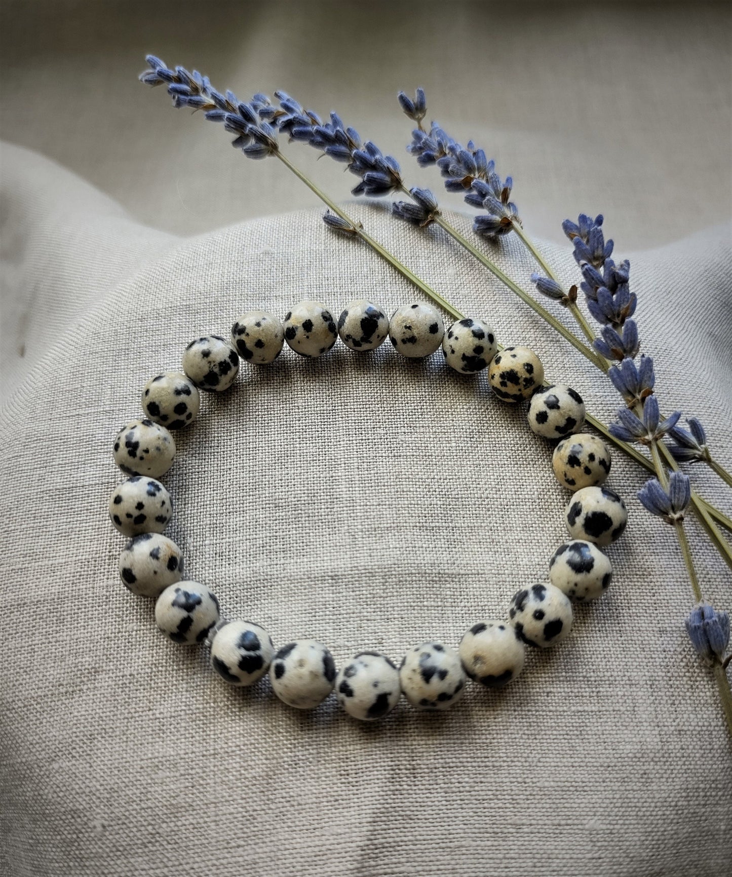 Jaspe Dalmatien - Bracelet Boule 8mm