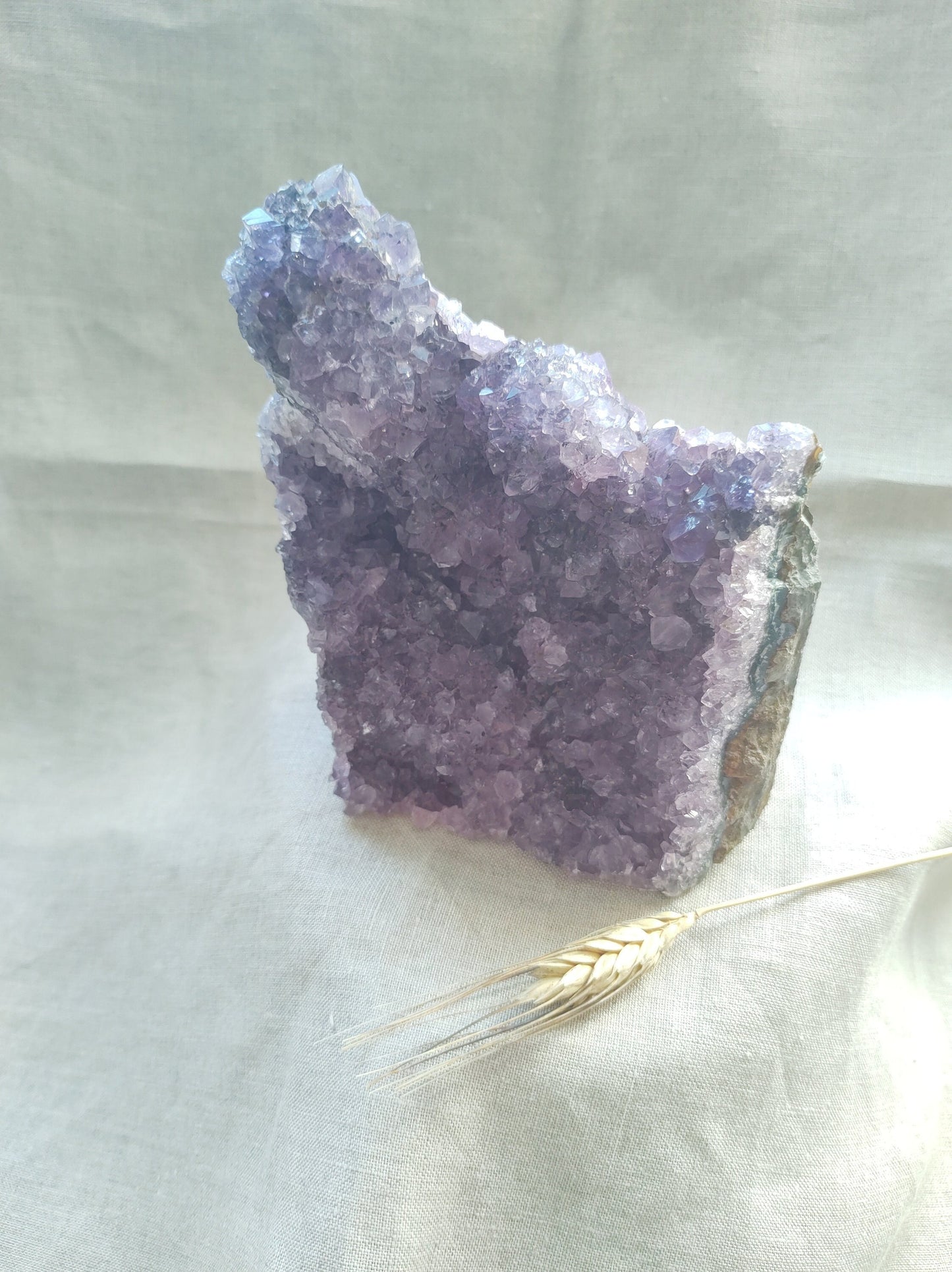 Améthyste Géode - Pierre Brute - Lithothérapie - Pierres Naturelles