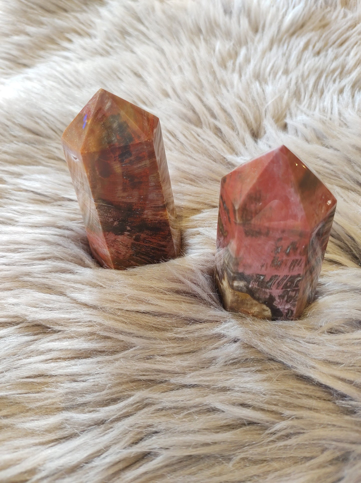 Bois Fossile - Pointe