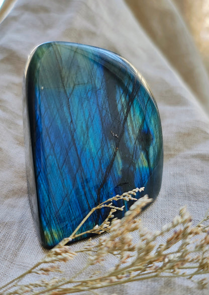 Labradorite - Forme Libre - Modèle 215