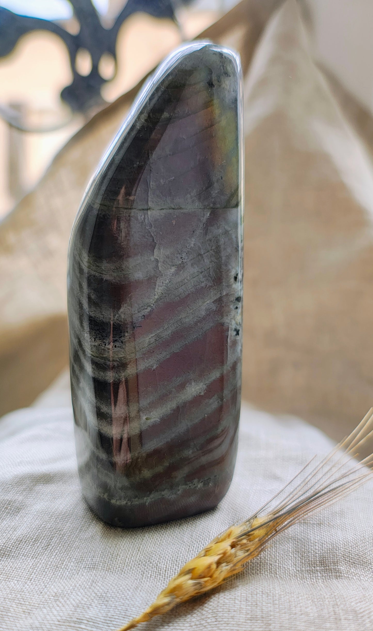 Labradorite Violette - Forme Libre - Modèle 266