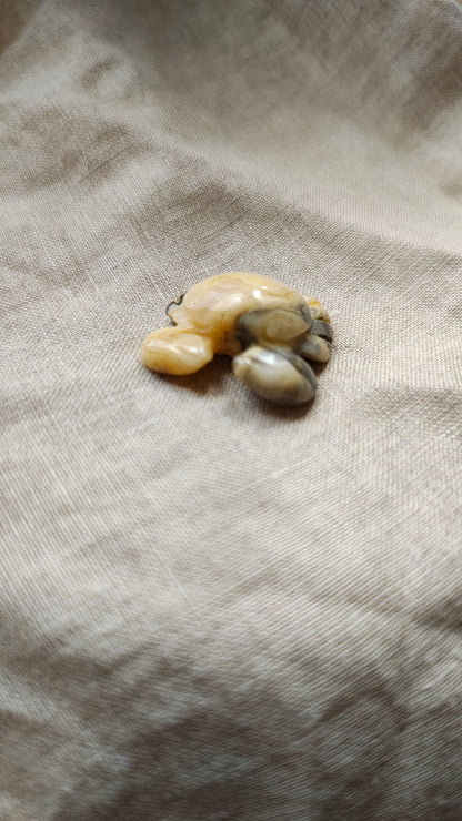 Agate Crazy Lace - Crabe 9 grammes