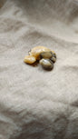 Agate Crazy Lace - Crabe 9 grammes