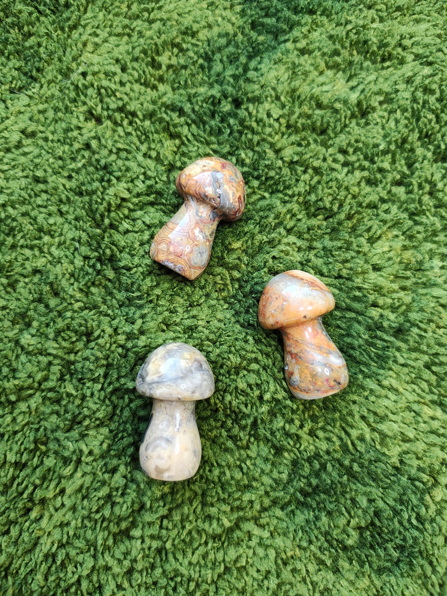 Agate Crazy Lace - Champignon