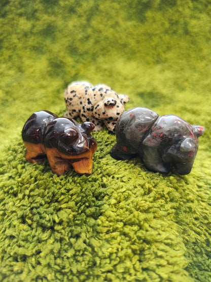 Jaspe Dalmatien - Forme Ours