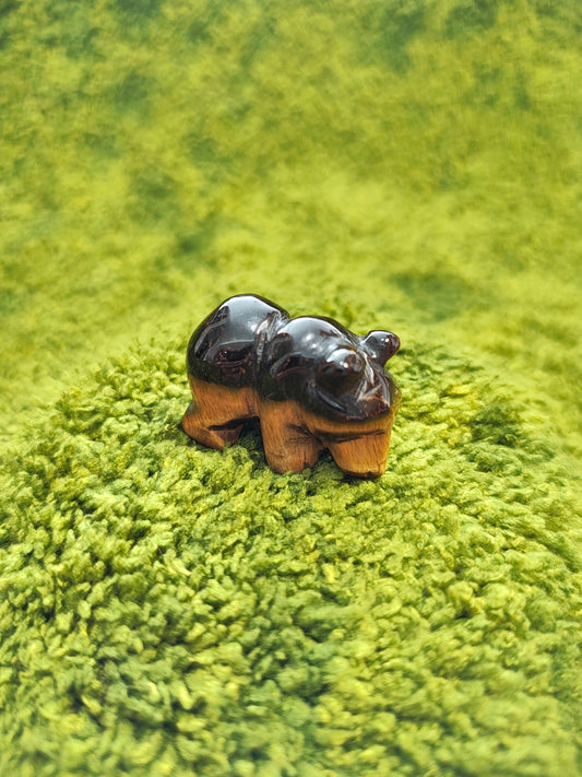 Œil de Tigre - Forme Ours