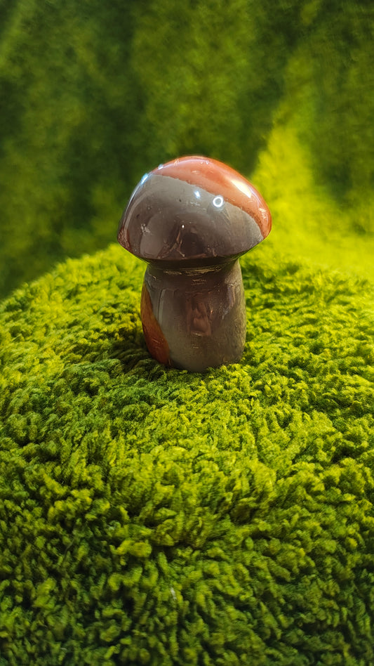 Jaspe Polychrome - Champignon