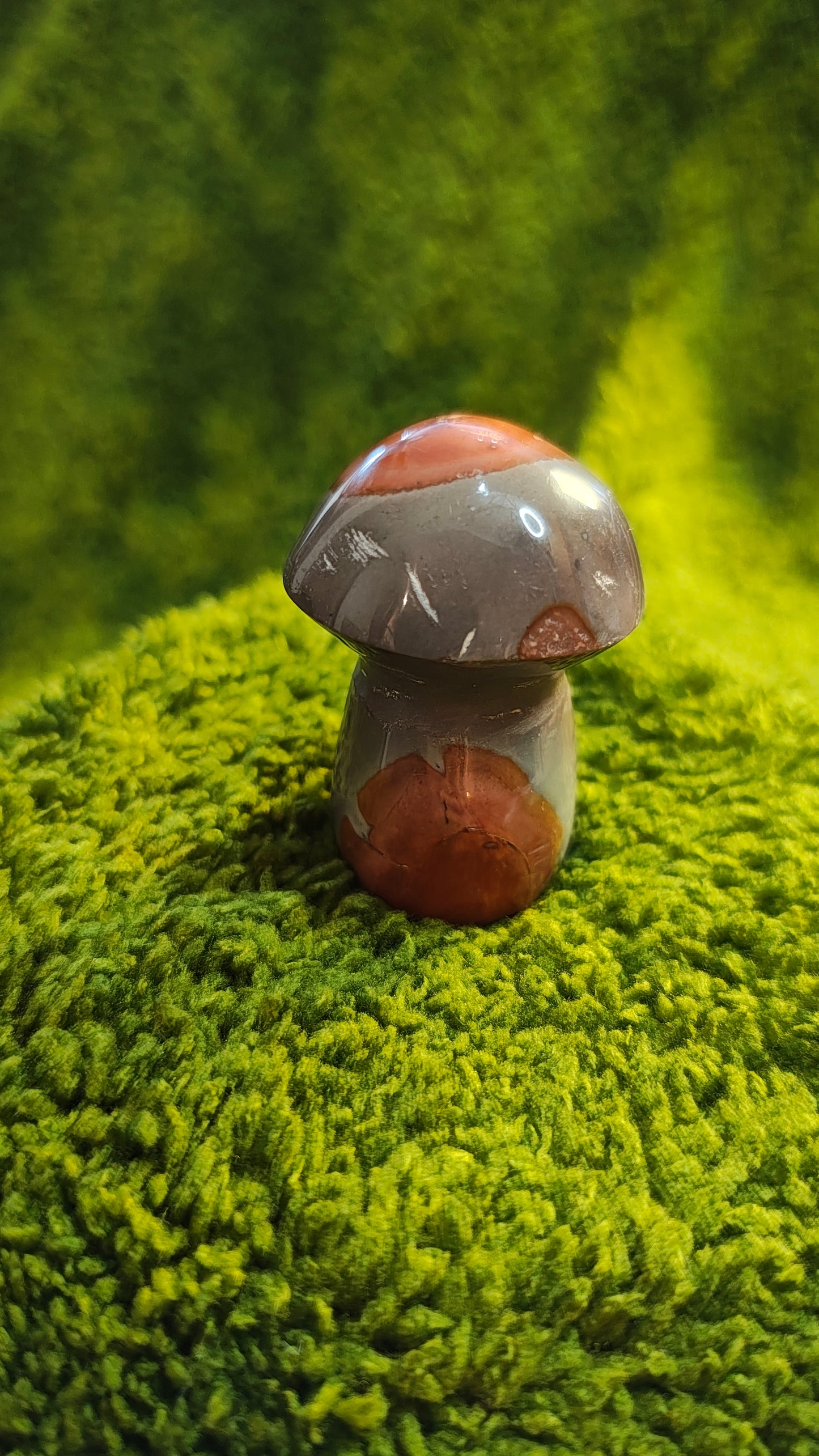 Jaspe Polychrome - Champignon