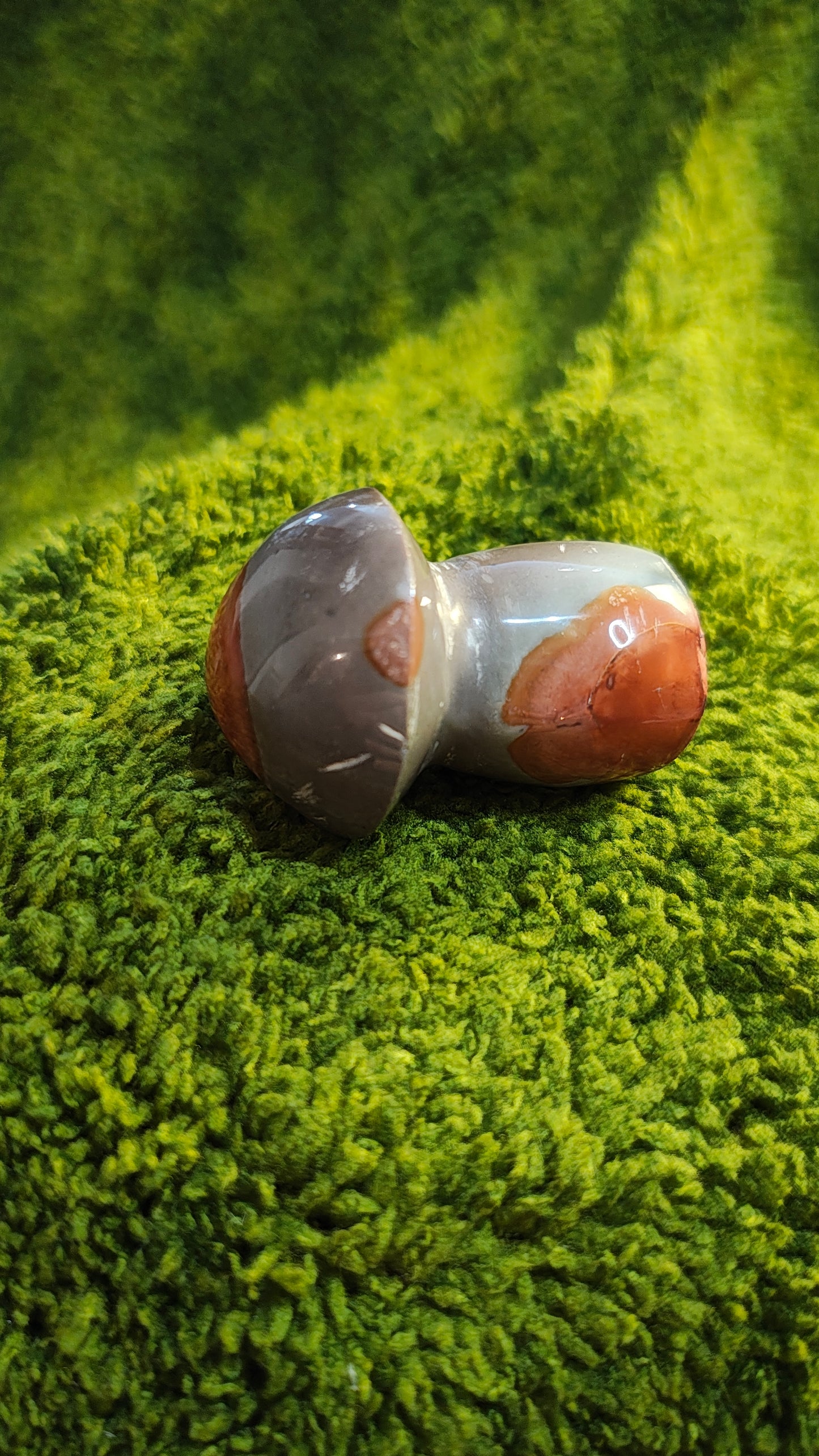 Jaspe Polychrome - Champignon