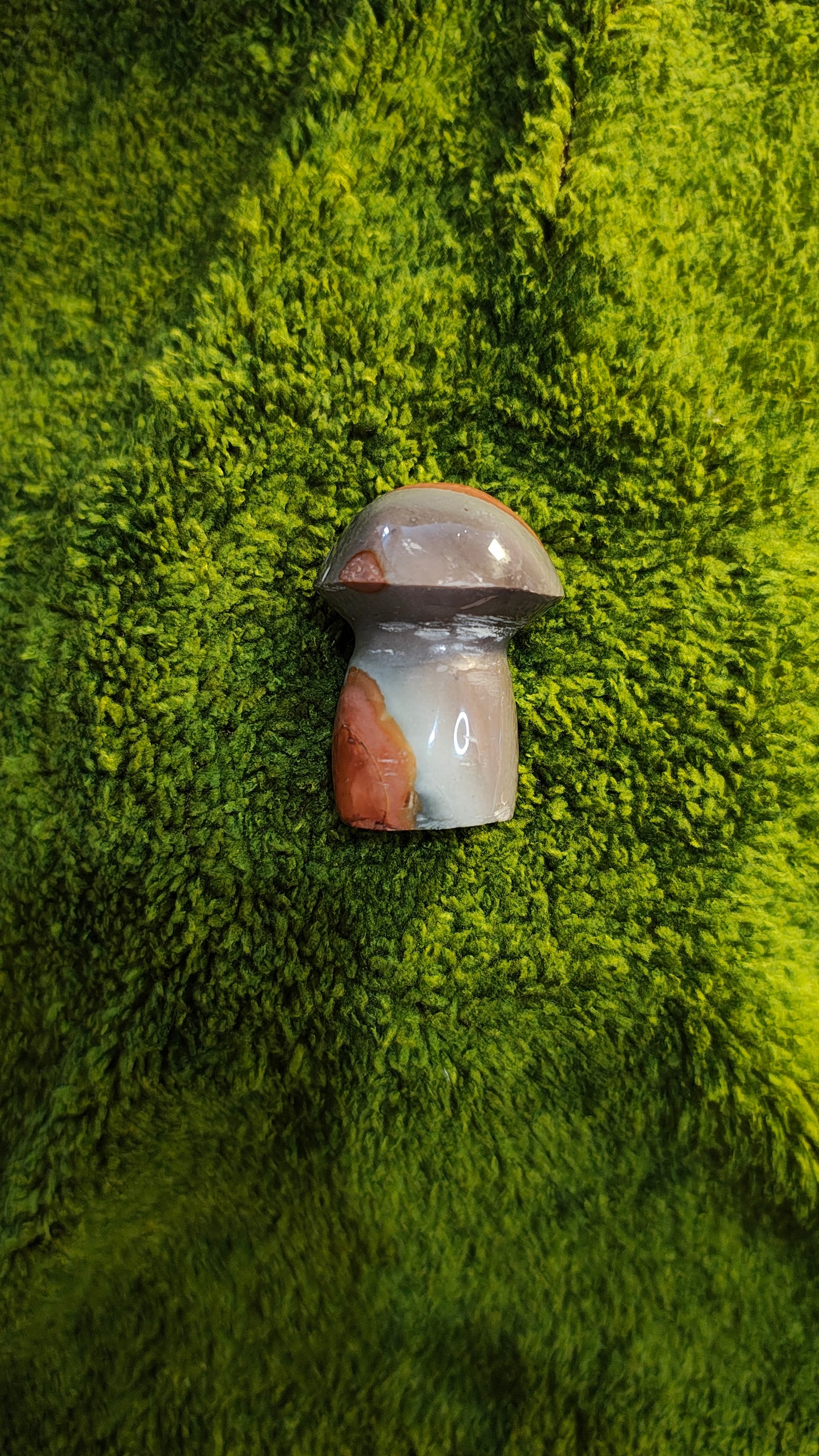 Jaspe Polychrome - Champignon