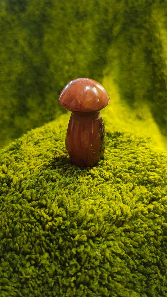 Jaspe Polychrome - Champignon