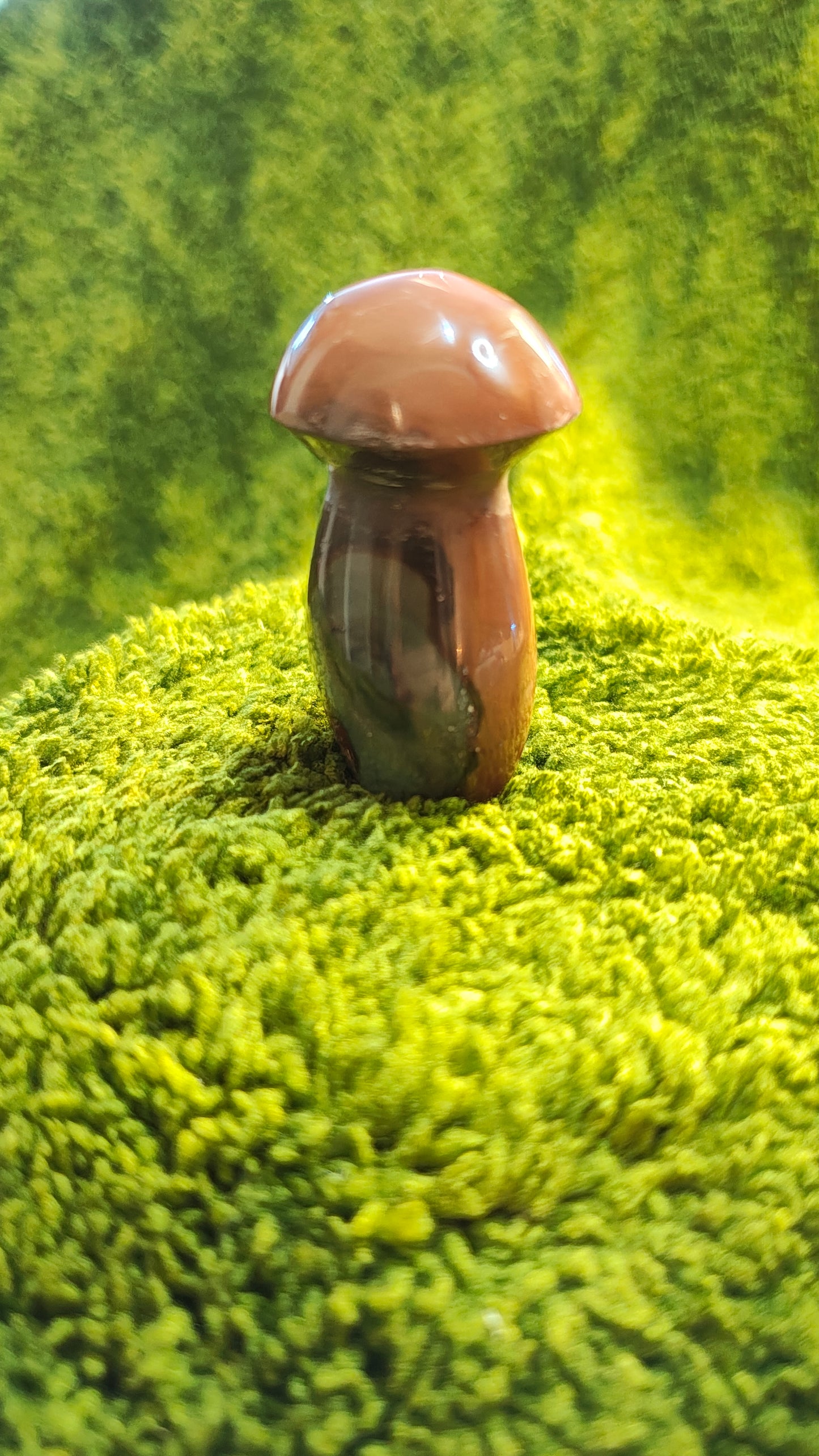 Jaspe Polychrome - Champignon
