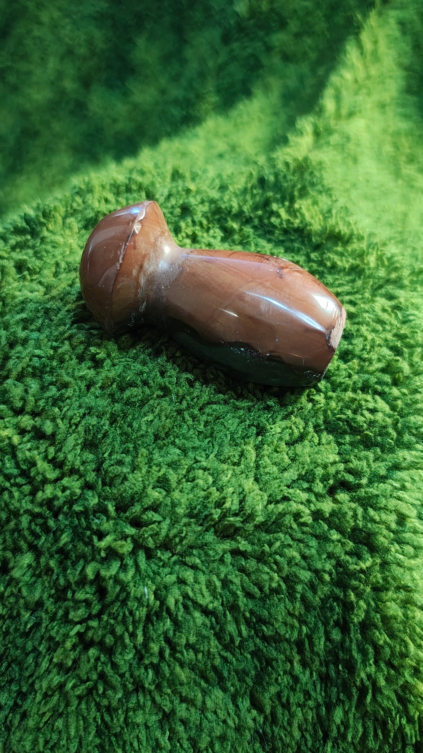 Jaspe Polychrome - Champignon