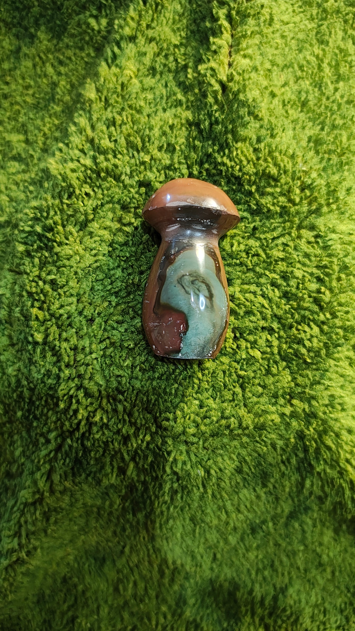 Jaspe Polychrome - Champignon