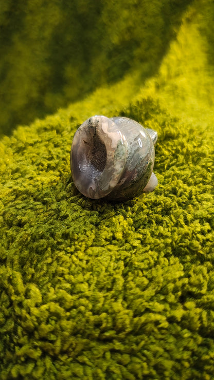 Agate Mousse - Chaudron