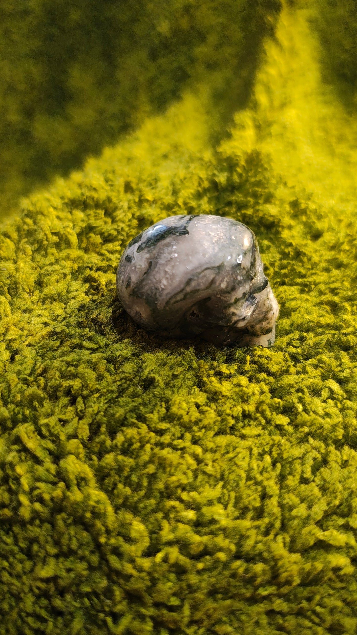 Agate Mousse - Crâne