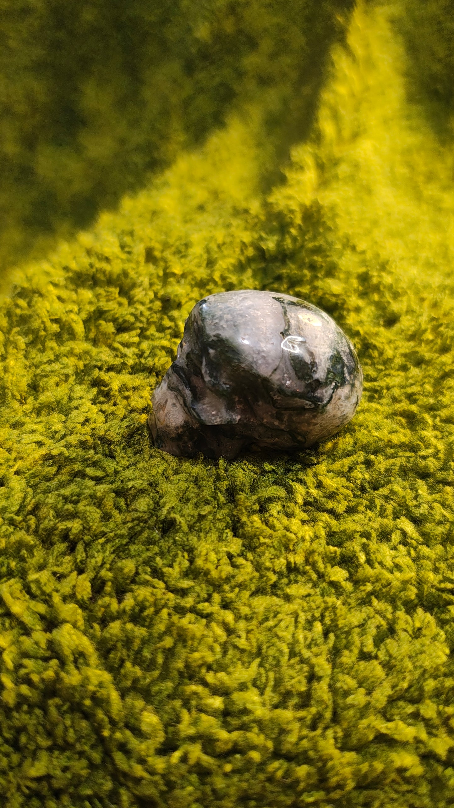 Agate Mousse - Crâne