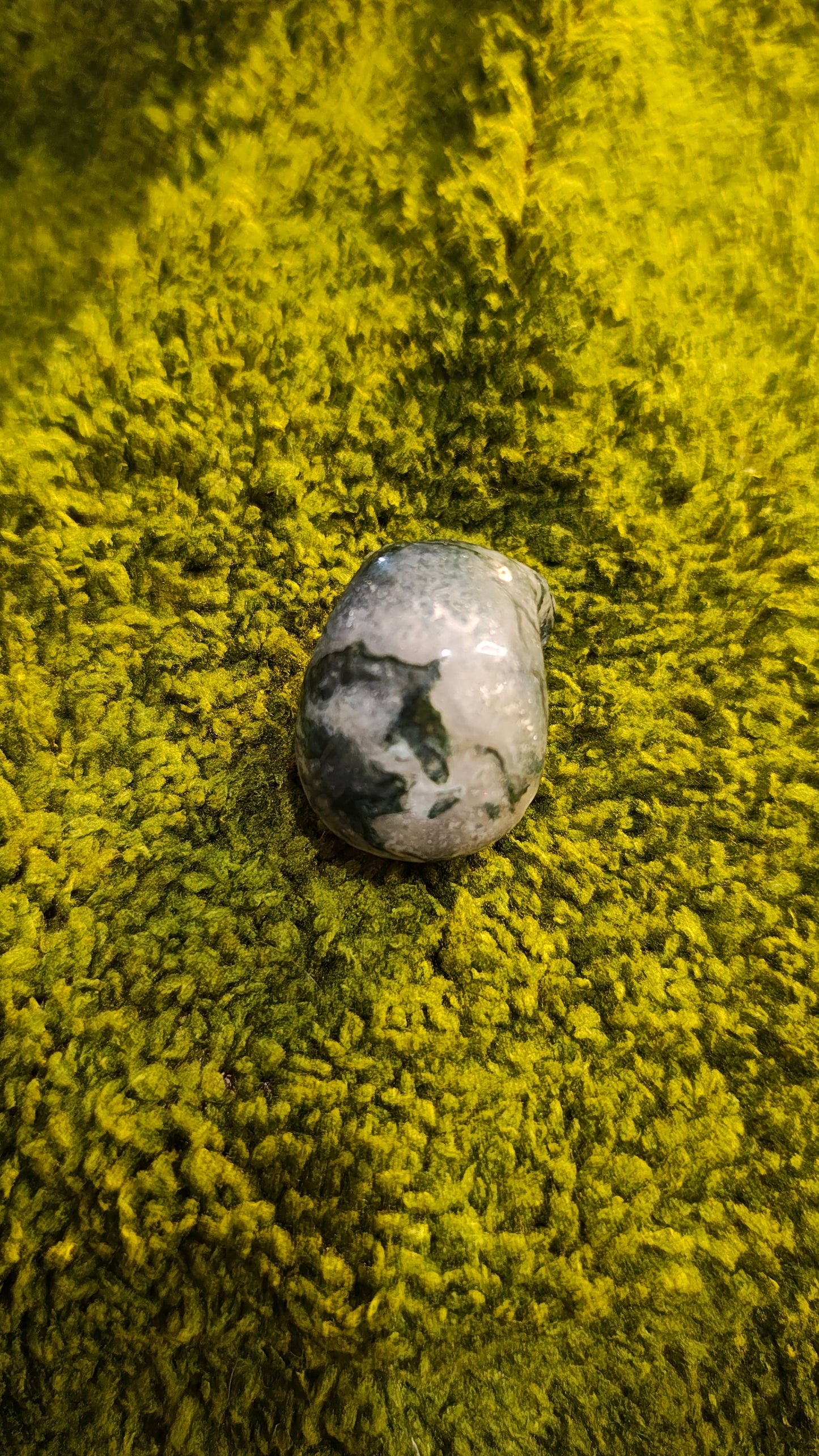 Agate Mousse - Crâne