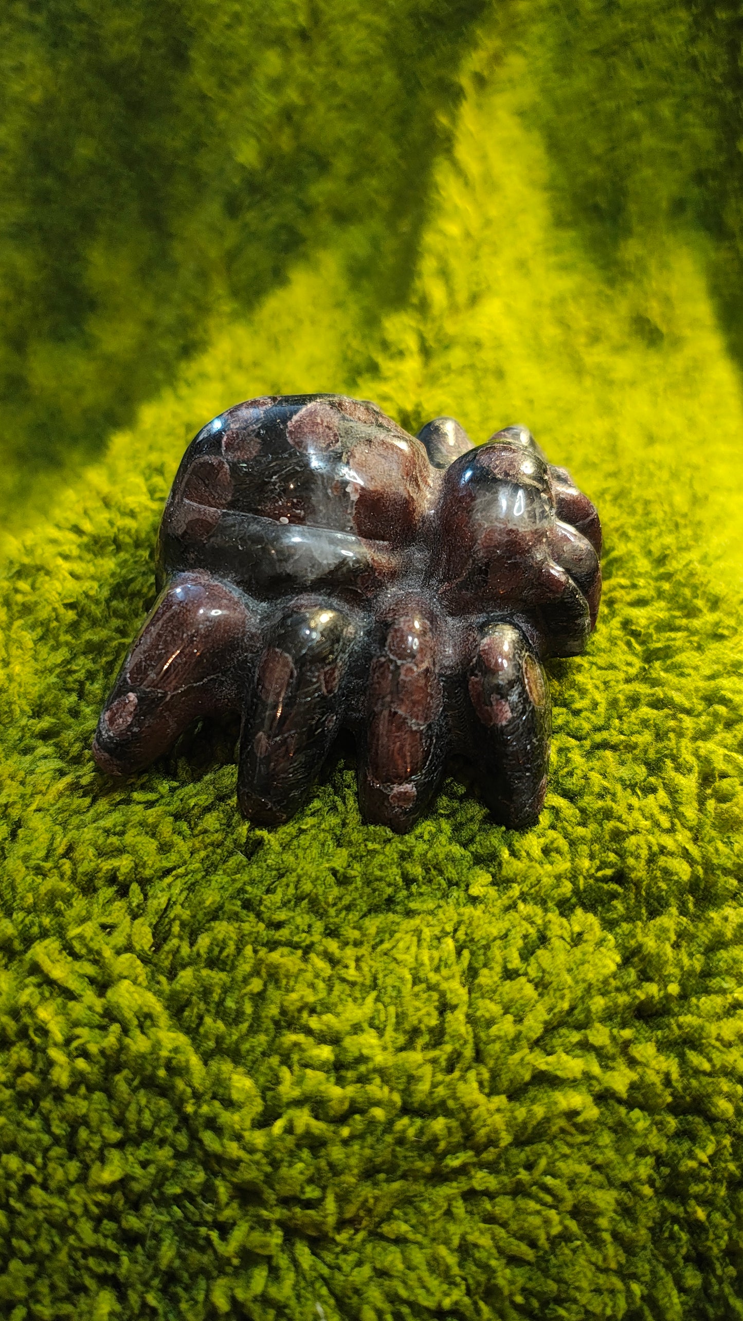 Grenat Almandin - Araignée